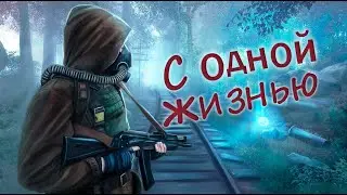 stalker спидран с одной жизнью