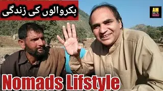 Nomads Life Real Story | Bakarwals Ki Zindgi Kesi Hoti Ha | Facts about Nomads Life & Marriage