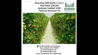 Vertical Aeroponic Farming in one acre ( 4000 Sq.Mtr ) Project Data.
