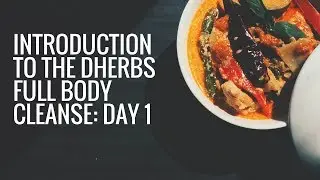 DHerbs Cleanse: Curing Epilepsy and Neurofibromatosis Type 1 | Day 1 (2018)