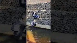 Operação Colosso - Supere seus limites