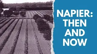 Napier: Then and Now #4 - Old Greenmeadows