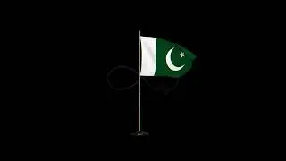 waving flag
