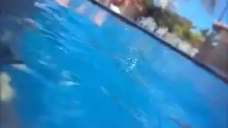 Meu encontro com um tubarão
