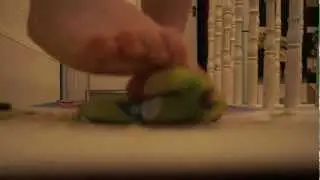 The Banana Series: Episode 2 of 5