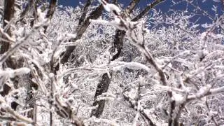 20120114 소백산 산행(산사모용)