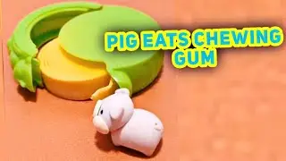 PIG EATS CHEWING GUM