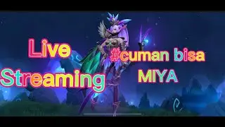 MIYA VS DARK SISTEM