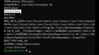 Local and Environmental Variables in Linux / Linux For Beginners / Episode 15  
