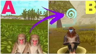 China map monkey is not as good as we thought.