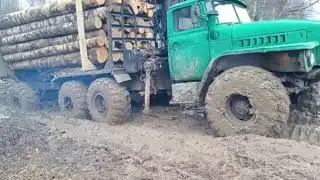Этот старичек ещё вам покажет! 💪 Урал 4320 лесовоз с полноприводной телегой! политика