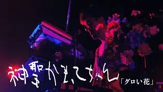 神聖かまってちゃん「グロい花」Live at 06.01.2024 