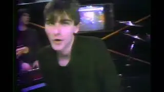 NEW MATH - They Walk Among You