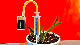 How to make Automatic plant watering system project from syringe
