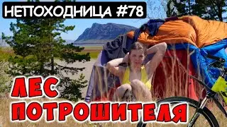 ВЕЛОПОХОД-РАЗВЕДКА. НОЧЬ В СТРАШНОМ ЛЕСУ. НЕПОХОДНИЦА