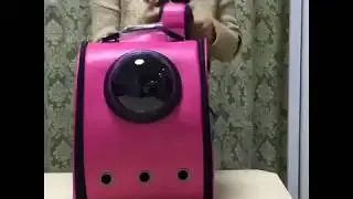 Pet Astronaut Backpack Bag