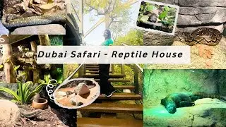 Dubai Safari Park 2024 | African Village | Reptiles House | Dubai Zoo