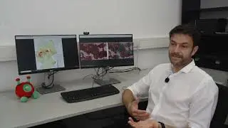 Waldschäden durch Satelliten erfassen