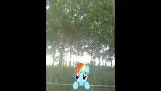PMV crocodile rock