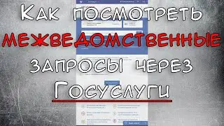 Как посмотреть межведомственные запросы через Госуслуги 2021