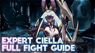 Ciella's Wrath (Expert) Guide - Dragalia Lost