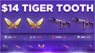 THE $14 TIGER TOOTH SAVED US! (DatDrop Battles)
