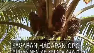 Seminar Pelaburan Pasaran Hadapan Antarabangsa PERCUMA