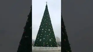 Новый Год в Душанбе 🇹🇯 