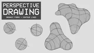 Perspective Drawing 21 - Organic Forms and Contour Lines