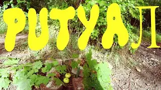 VLOG: ОСЕННИЙ РУНИЧЕСКИЙ РИТУАЛ