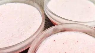 Клубничное суфле. Воздушное и ароматное лакомство за считанные минуты! Десерт без заморочек.