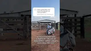Quem aí compraria