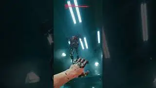 Adam Smasher Can Move Inside a Stopped Time ??? 