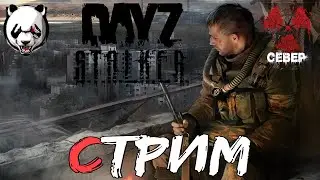 DayZ🎥СТРИМ🎥 16+//STALKER//КООП//ДЕРЖИМ ПУТЬ НА СЕВЕР//ПРИСОЕДЕНИЛИСЬ К ГРУППИРОВКЕ