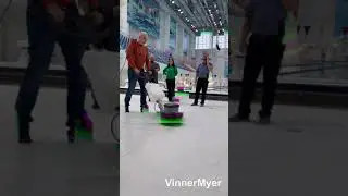 Однодисковая роторная машина 