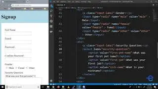 HTML - Adding Styles to Forms