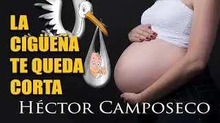 No vino de París. Héctor Camposeco
