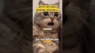 Panik gak!! Meme funny kocak😂 #shorts #fyp