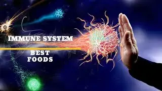 Foods That Boost the Immune System