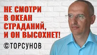 Не смотри в океан страданий, и он высохнет! Торсунов лекции