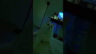 Реп от Шанти!!!
