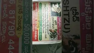 PUPPY MISSING IN KURNOOL GET 50000  AMOUNT LATEST VIDEO VIRAL 2024