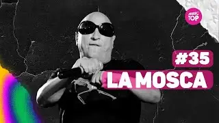 LA MOSCA MUSICTOP