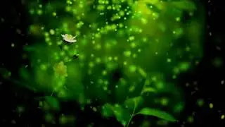Green nature background video HD