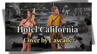 Hotel California on two Chapman Sticks - Live in Vietnam by Cascade