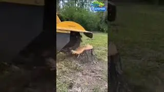 Удаление корней