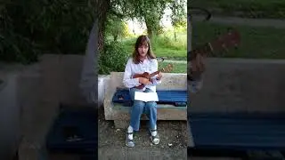 Я помню белые обои, черная посуда...| Уличный музыкант | Укулеле
