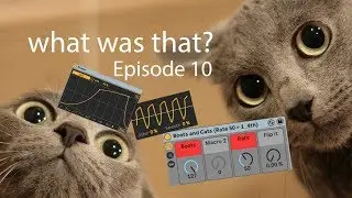 wtf? Ep. 10 Volume shaper for Ableton