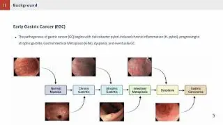 Explainable deep learning algorithms for metaplasia detection in upper gastrointestinal endoscopy