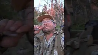Some guys don’t know how to act at full draw on an elk! #elk #hunting #bowhunter #nature #bowhunt